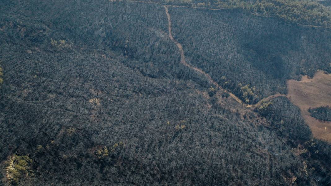 Sakarya'da başlayan yangın kontrolden çıktı: Bilecik'in ormanları siyaha büründü 10